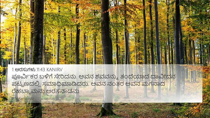 1 ಅರಸುಗಳು 11:43 KANIRV Bible Verse Image