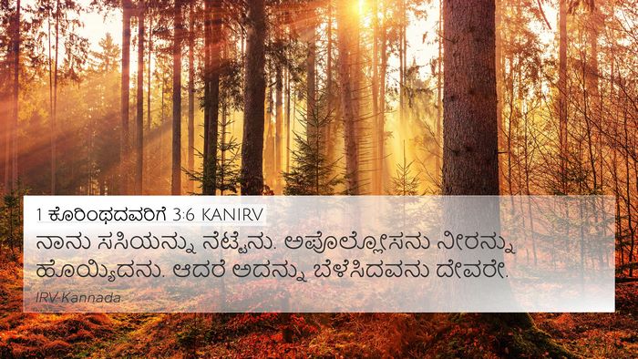 1 ಕೊರಿಂಥದವರಿಗೆ 3:6 KANIRV Bible Verse Image