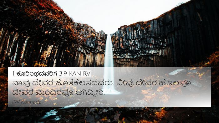 1 ಕೊರಿಂಥದವರಿಗೆ 3:9 KANIRV Bible Verse Image