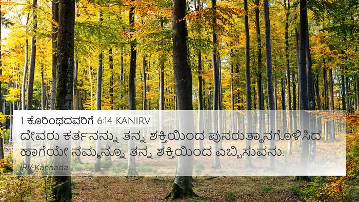 1 ಕೊರಿಂಥದವರಿಗೆ 6:14 KANIRV Bible Verse Image