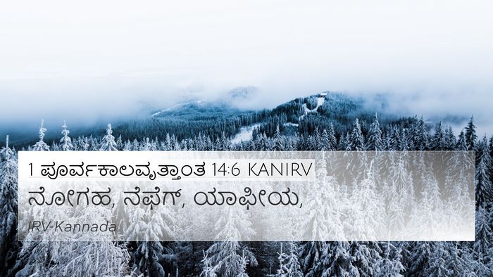 1 ಪೂರ್ವಕಾಲವೃತ್ತಾಂತ 14:6 KANIRV 4K Wallpaper - ನೋಗಹ, ನೆಫೆಗ್, - 4K Wallpaper Bible Verse