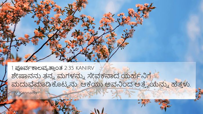 1 ಪೂರ್ವಕಾಲವೃತ್ತಾಂತ 2:35 KANIRV 4K Wallpaper - ಶೇಷಾನನು ತನ್ನ - 4K Wallpaper Bible Verse
