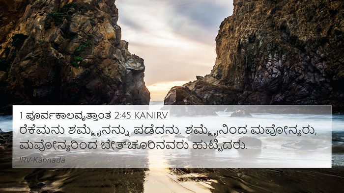 1 ಪೂರ್ವಕಾಲವೃತ್ತಾಂತ 2:45 KANIRV Bible Verse Image