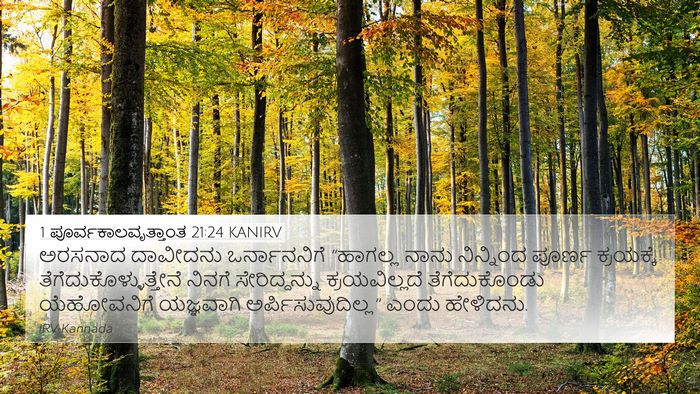 1 ಪೂರ್ವಕಾಲವೃತ್ತಾಂತ 21:24 KANIRV Bible Verse Image