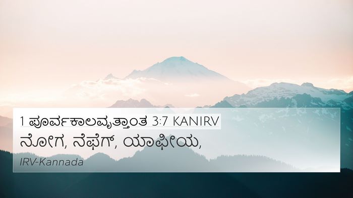 1 ಪೂರ್ವಕಾಲವೃತ್ತಾಂತ 3:7 KANIRV 4K Wallpaper - ನೋಗ, ನೆಫೆಗ್, - 4K Wallpaper Bible Verse