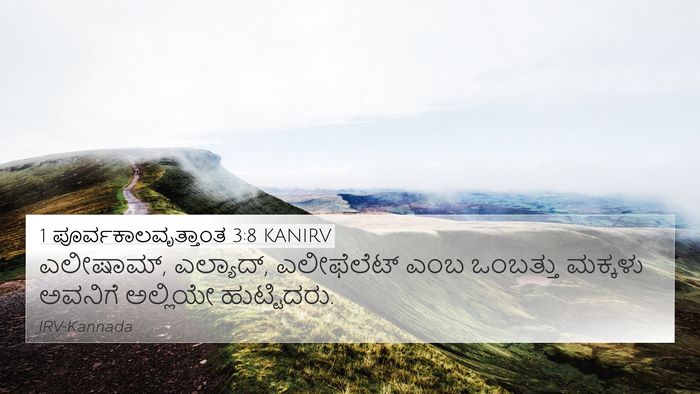 1 ಪೂರ್ವಕಾಲವೃತ್ತಾಂತ 3:8 KANIRV Bible Verse Image
