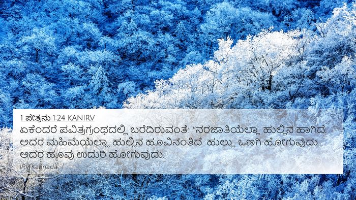 1 ಪೇತ್ರನು 1:24 KANIRV Bible Verse Image