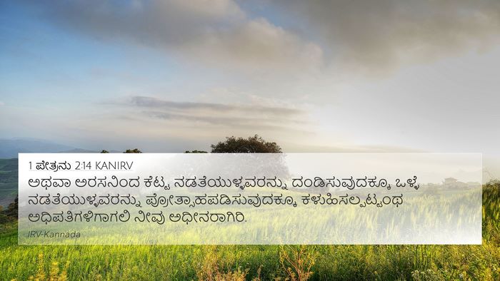 1 ಪೇತ್ರನು 2:14 KANIRV 4K Wallpaper - ಅಥವಾ ಅರಸನಿಂದ - 4K Wallpaper Bible Verse