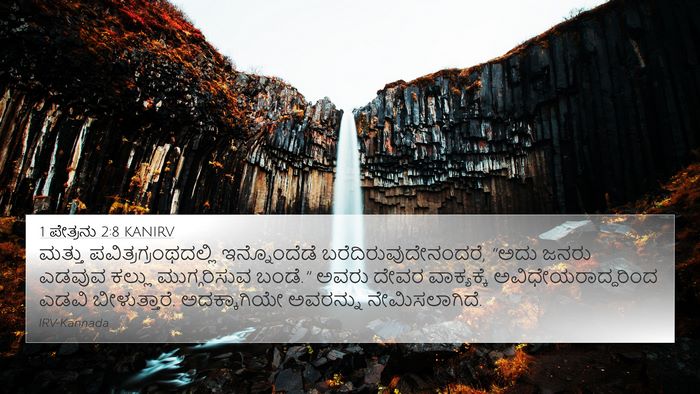 1 ಪೇತ್ರನು 2:8 KANIRV Bible Verse Image