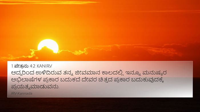 1 ಪೇತ್ರನು 4:2 KANIRV Bible Verse Image