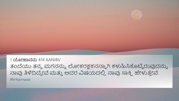 1 ಯೋಹಾನನು 4:14 KANIRV Bible Verse Image