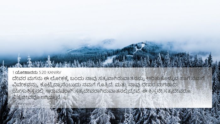 1 ಯೋಹಾನನು 5:20 KANIRV Bible Verse Image