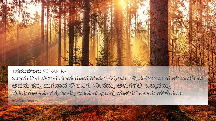 1 ಸಮುವೇಲನು 9:3 KANIRV 4K Wallpaper - ಒಂದು ದಿನ ಸೌಲನ - 4K Wallpaper Bible Verse