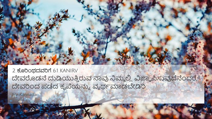 2 ಕೊರಿಂಥದವರಿಗೆ 6:1 KANIRV Bible Verse Image