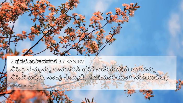 2 ಥೆಸಲೋನಿಕದವರಿಗೆ 3:7 KANIRV Bible Verse Image