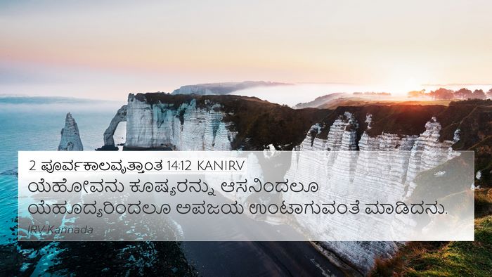 2 ಪೂರ್ವಕಾಲವೃತ್ತಾಂತ 14:12 KANIRV Bible Verse Image
