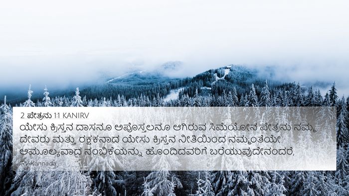 2 ಪೇತ್ರನು 1:1 KANIRV Bible Verse Image