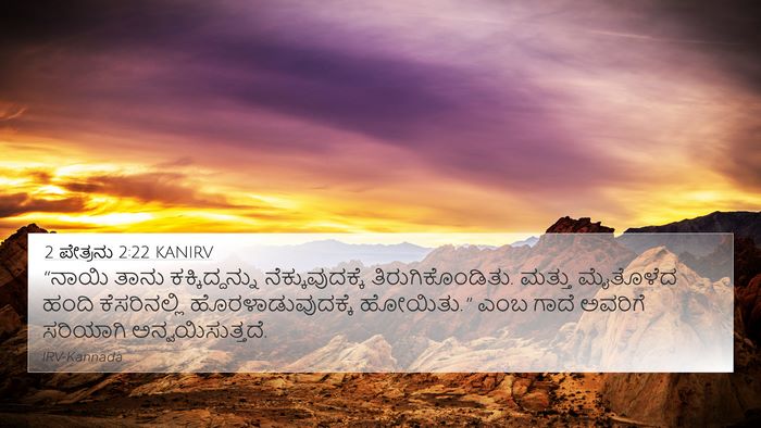 2 ಪೇತ್ರನು 2:22 KANIRV Bible Verse Image