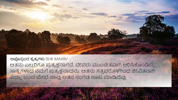 ಅಪೊಸ್ತಲರ ಕೃತ್ಯಗಳು 10:41 KANIRV Bible Verse Image