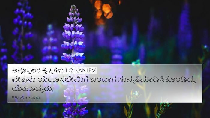 ಅಪೊಸ್ತಲರ ಕೃತ್ಯಗಳು 11:2 KANIRV Bible Verse Image