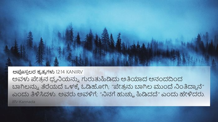 ಅಪೊಸ್ತಲರ ಕೃತ್ಯಗಳು 12:14 KANIRV 4K Wallpaper - ಅವಳು ಪೇತ್ರನ - 4K Wallpaper Bible Verse