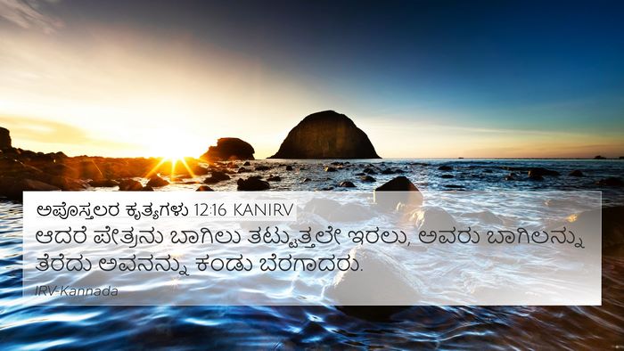 ಅಪೊಸ್ತಲರ ಕೃತ್ಯಗಳು 12:16 KANIRV Bible Verse Image