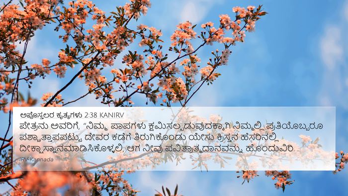 ಅಪೊಸ್ತಲರ ಕೃತ್ಯಗಳು 2:38 KANIRV Bible Verse Image