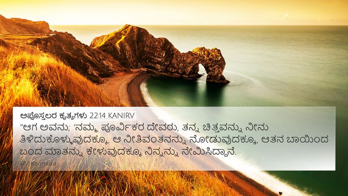 ಅಪೊಸ್ತಲರ ಕೃತ್ಯಗಳು 22:14 KANIRV Bible Verse Image