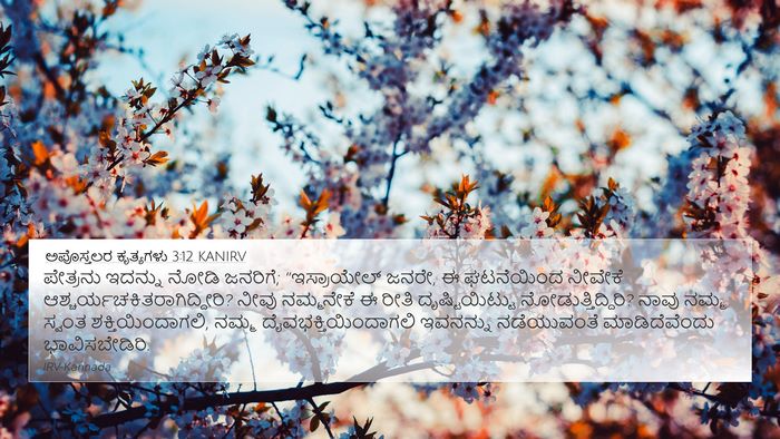 ಅಪೊಸ್ತಲರ ಕೃತ್ಯಗಳು 3:12 KANIRV Bible Verse Image