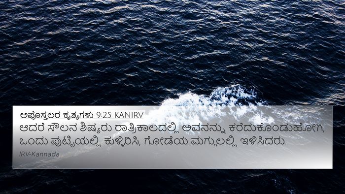ಅಪೊಸ್ತಲರ ಕೃತ್ಯಗಳು 9:25 KANIRV Bible Verse Image