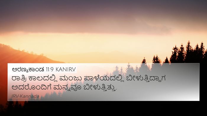 ಅರಣ್ಯಕಾಂಡ 11:9 KANIRV Bible Verse Image