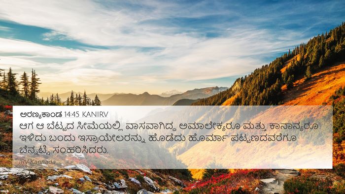 ಅರಣ್ಯಕಾಂಡ 14:45 KANIRV Bible Verse Image