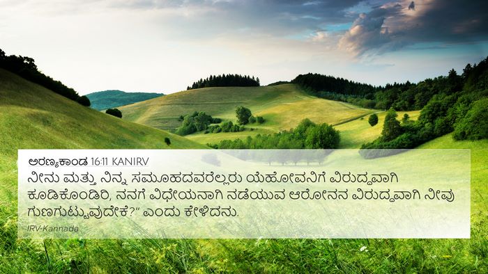 ಅರಣ್ಯಕಾಂಡ 16:11 KANIRV 4K Wallpaper - ನೀನು ಮತ್ತು ನಿನ್ನ - 4K Wallpaper Bible Verse