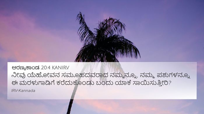ಅರಣ್ಯಕಾಂಡ 20:4 KANIRV Bible Verse Image