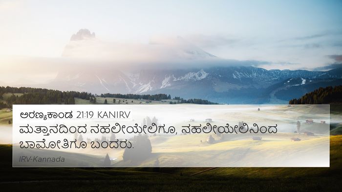 ಅರಣ್ಯಕಾಂಡ 21:19 KANIRV Bible Verse Image