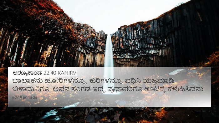 ಅರಣ್ಯಕಾಂಡ 22:40 KANIRV 4K Wallpaper - ಬಾಲಾಕನು - 4K Wallpaper Bible Verse