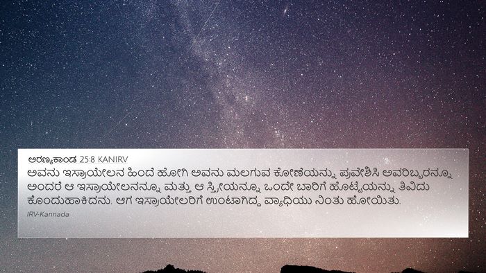 ಅರಣ್ಯಕಾಂಡ 25:8 KANIRV Bible Verse Image
