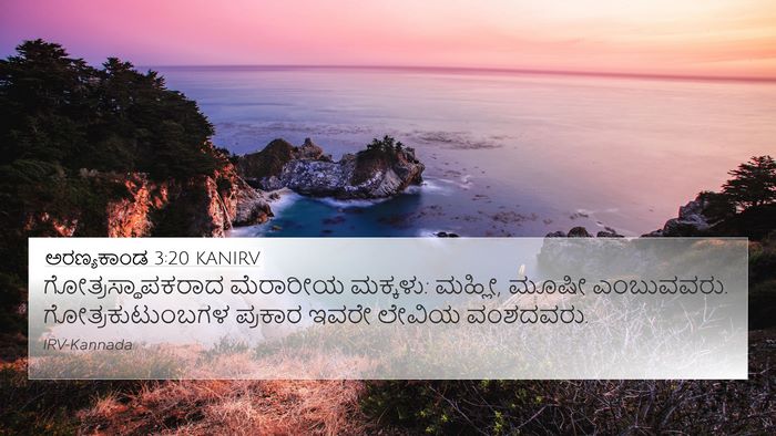 ಅರಣ್ಯಕಾಂಡ 3:20 KANIRV Bible Verse Image