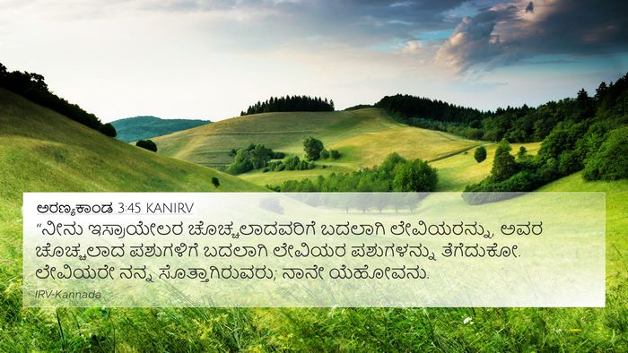 ಅರಣ್ಯಕಾಂಡ 3:45 KANIRV Bible Verse Image