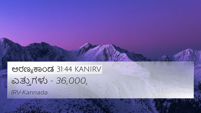 ಅರಣ್ಯಕಾಂಡ 31:44 KANIRV 4K Wallpaper - ಎತ್ತುಗಳು - - 4K Wallpaper Bible Verse