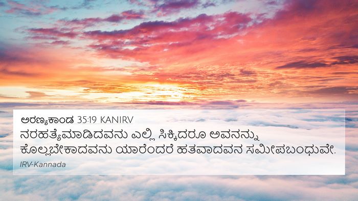 ಅರಣ್ಯಕಾಂಡ 35:19 KANIRV Bible Verse Image