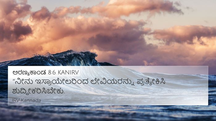 ಅರಣ್ಯಕಾಂಡ 8:6 KANIRV Bible Verse Image