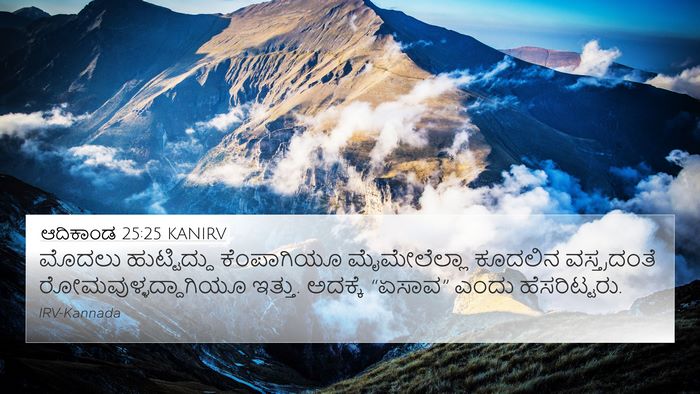 ಆದಿಕಾಂಡ 25:25 KANIRV 4K Wallpaper - ಮೊದಲು ಹುಟ್ಟಿದ್ದು - 4K Wallpaper Bible Verse