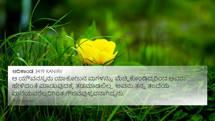 ಆದಿಕಾಂಡ 34:19 KANIRV Bible Verse Image