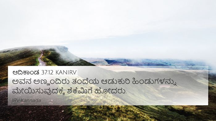 ಆದಿಕಾಂಡ 37:12 KANIRV Bible Verse Image