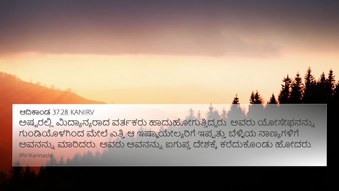 ಆದಿಕಾಂಡ 37:28 KANIRV Bible Verse Image