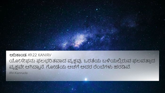 ಆದಿಕಾಂಡ 49:22 KANIRV Bible Verse Image