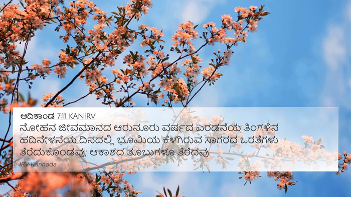 ಆದಿಕಾಂಡ 7:11 KANIRV Bible Verse Image