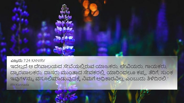 ಎಜ್ರನು 7:24 KANIRV Bible Verse Image