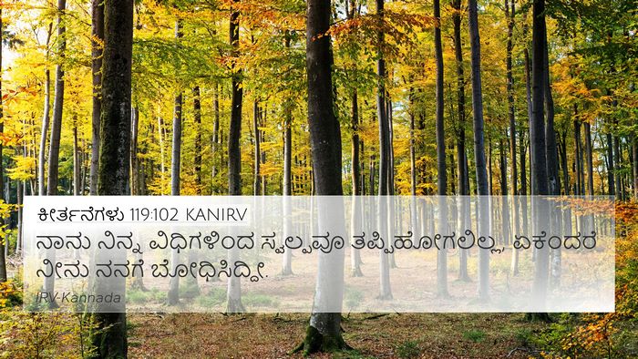 ಕೀರ್ತನೆಗಳು 119:102 KANIRV Bible Verse Image